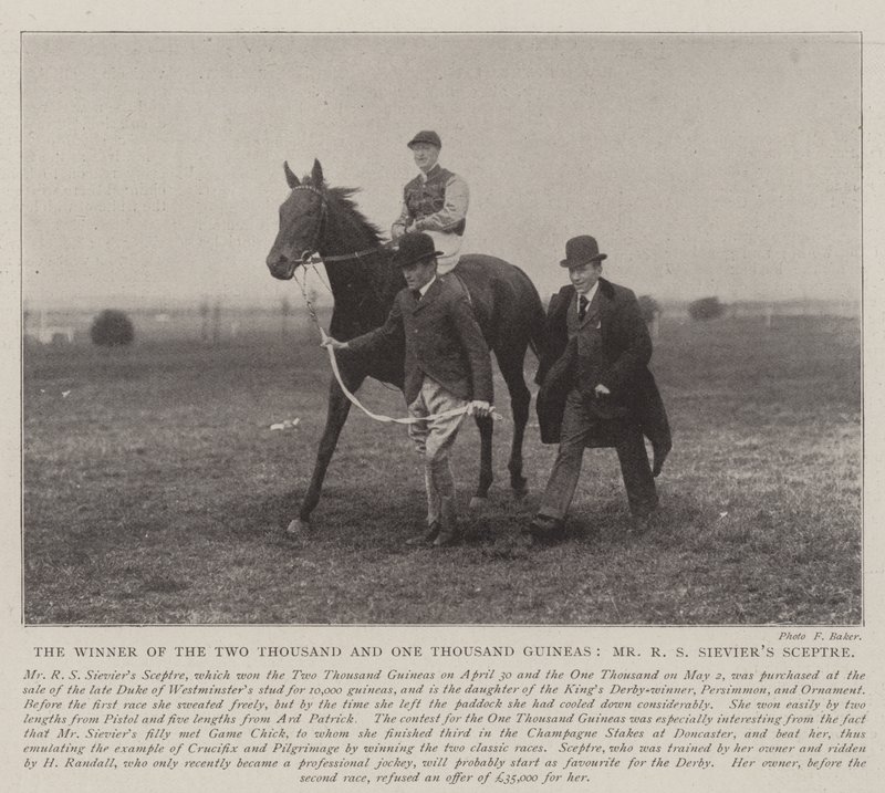 El ganador de las Dos Mil y Mil Guineas, el Sceptre de Mr. R S Sievier de English Photographer