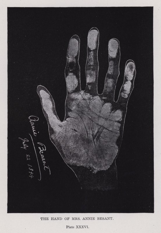 La mano de la Sra. Annie Besant de English Photographer