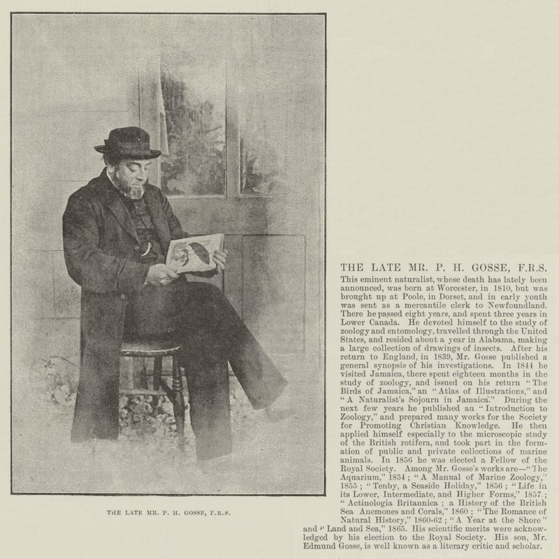 El difunto Sr. P H Gosse, FRS de English Photographer