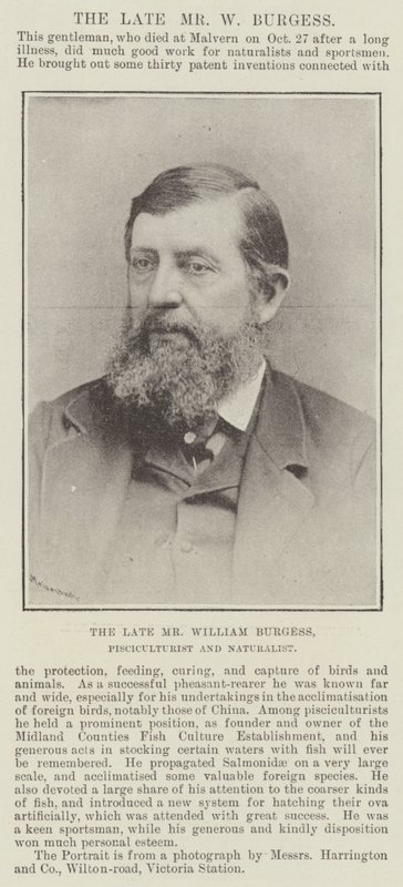 El difunto Sr. William Burgess, Piscicultor y Naturalista de English Photographer