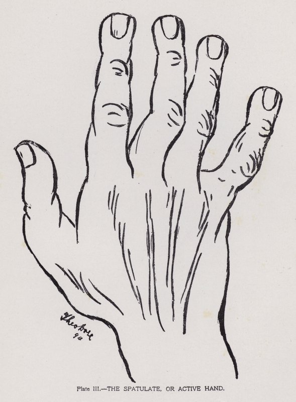 La mano espatulada o activa (fotografía en blanco y negro) de English Photographer