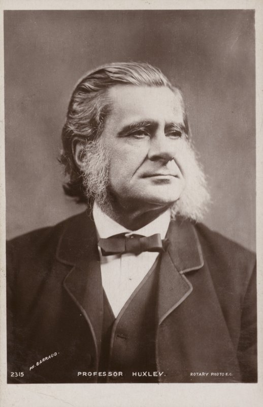 Thomas Henry Huxley (1825-1895), biólogo inglés de English Photographer