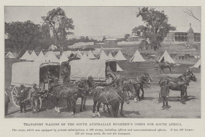 Carros de transporte del Cuerpo de Bushmen de Australia del Sur para Sudáfrica de English Photographer