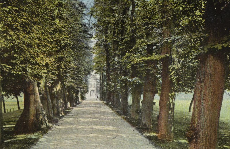Trinity College, la Avenida de English Photographer