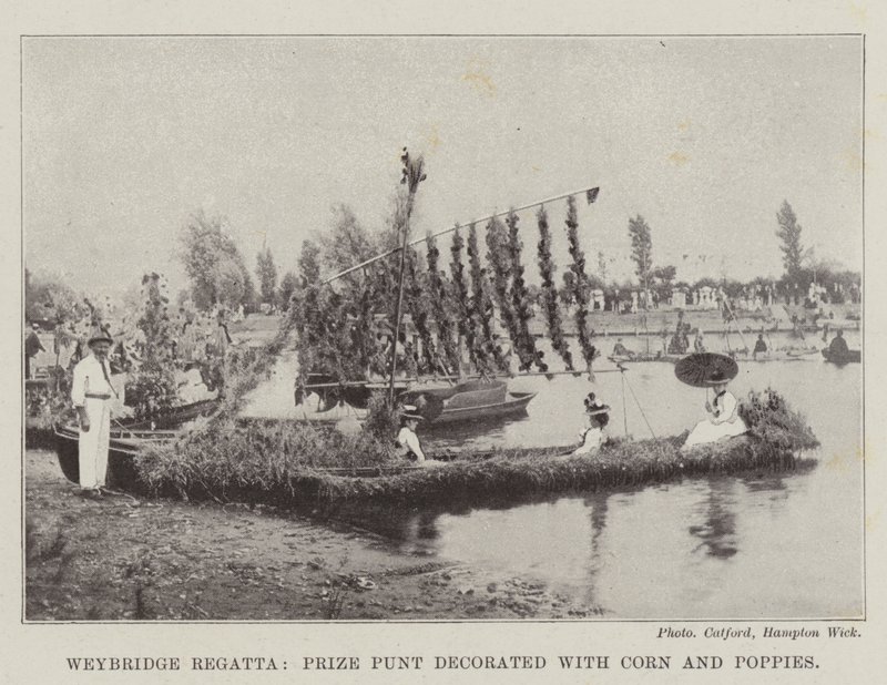 Regata de Weybridge, Premio Punt decorado con Maíz y Amapolas de English Photographer