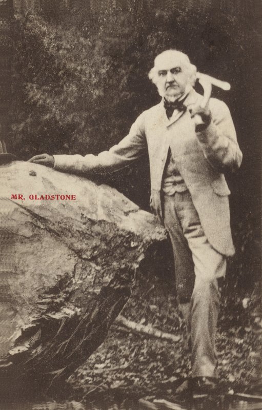 William Ewart Gladstone de English Photographer
