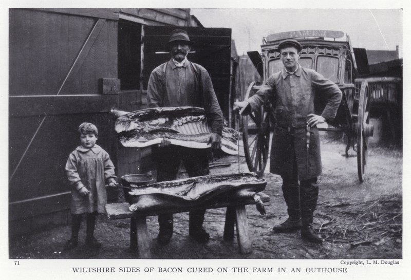 Lados de tocino de Wiltshire curados en la granja en una dependencia de English Photographer