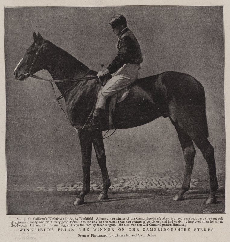 Winkfields Pride, el ganador de las apuestas de Cambridgeshire de English Photographer