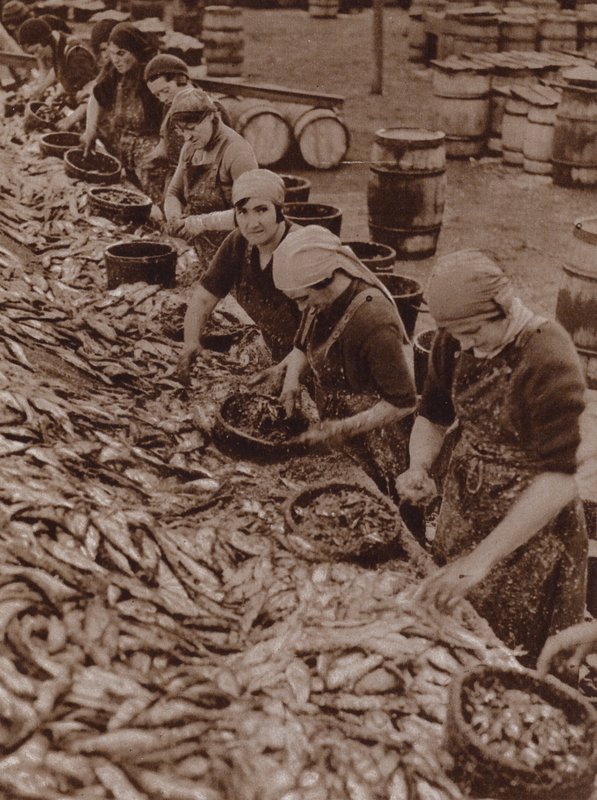 Mujeres en Great Yarmouth partiendo y limpiando arenques (foto b/n) de English Photographer