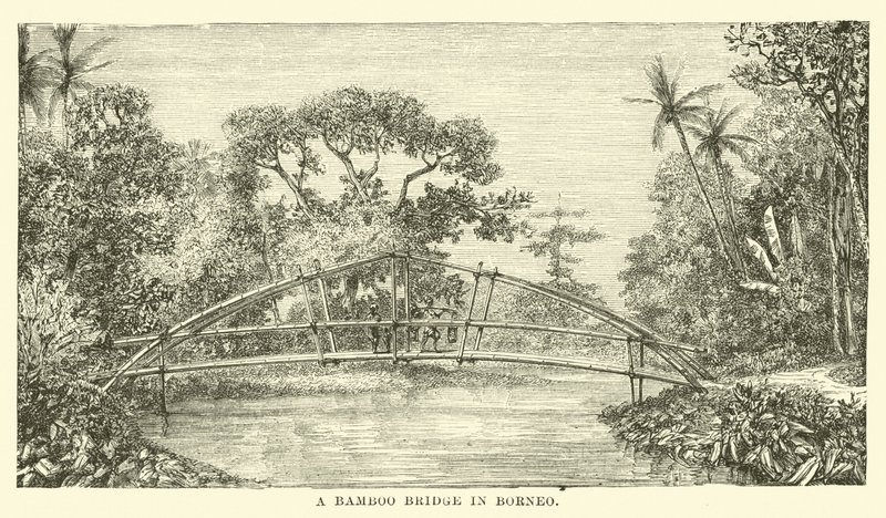 Puente de bambú en Borneo de English School