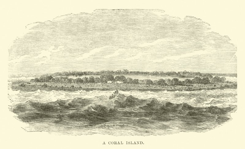 Una isla de coral de English School