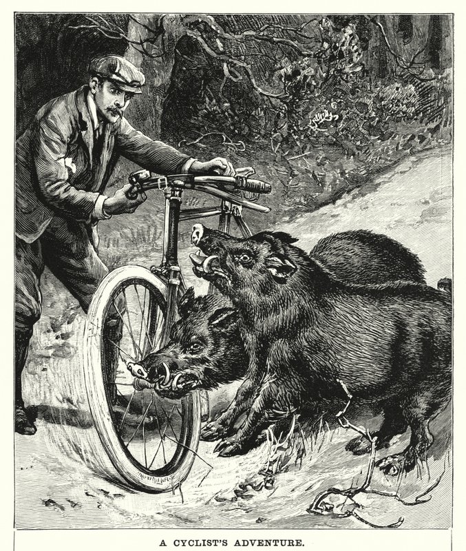La aventura de un ciclista (grabado) de English School
