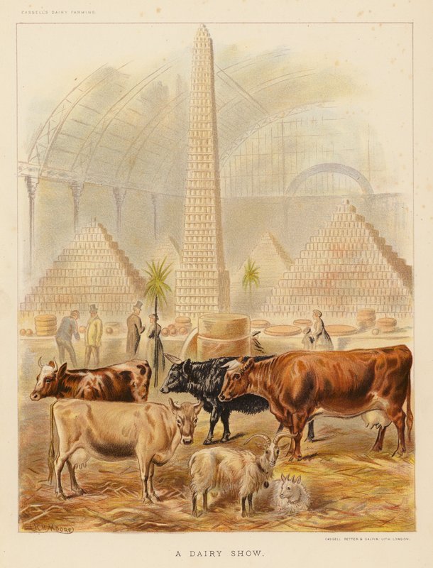 A Dairy Show (litografía en color) de English School