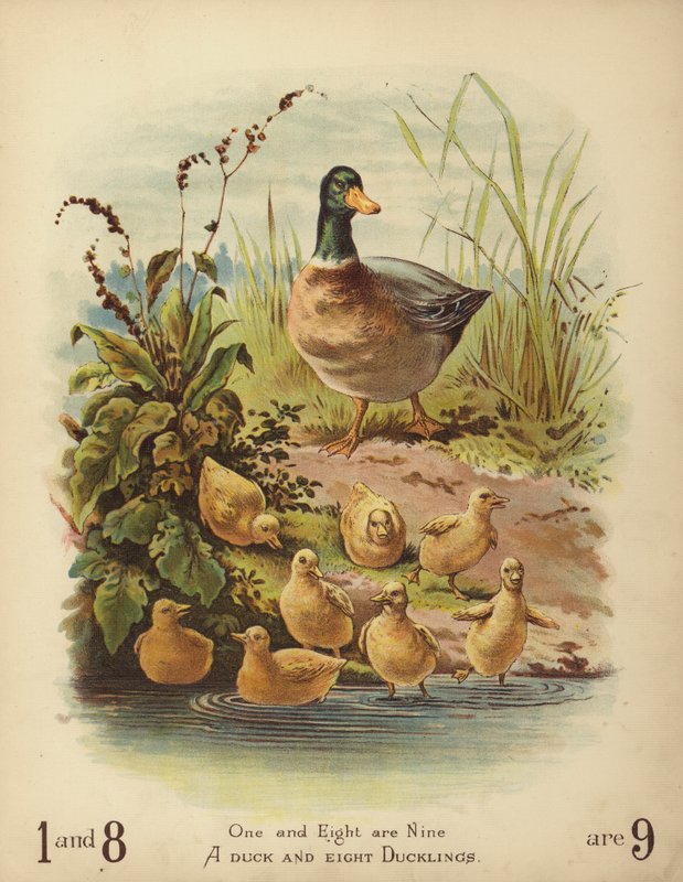 Un pato y ocho patitos de English School