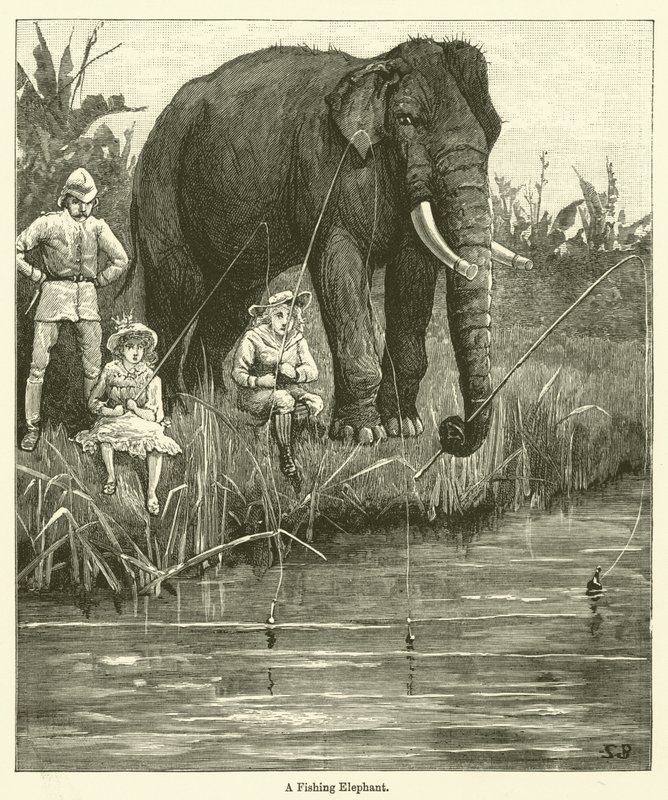 Un Elefante Pescador (grabado) de English School