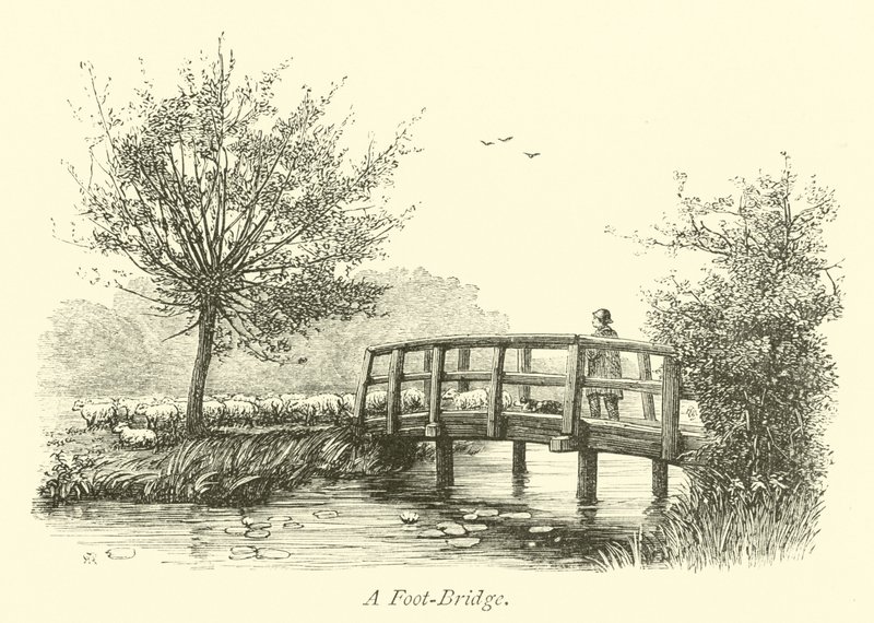Un puente peatonal de English School