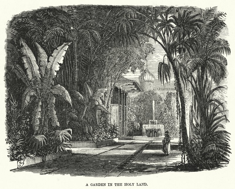 Un jardín en Tierra Santa de English School