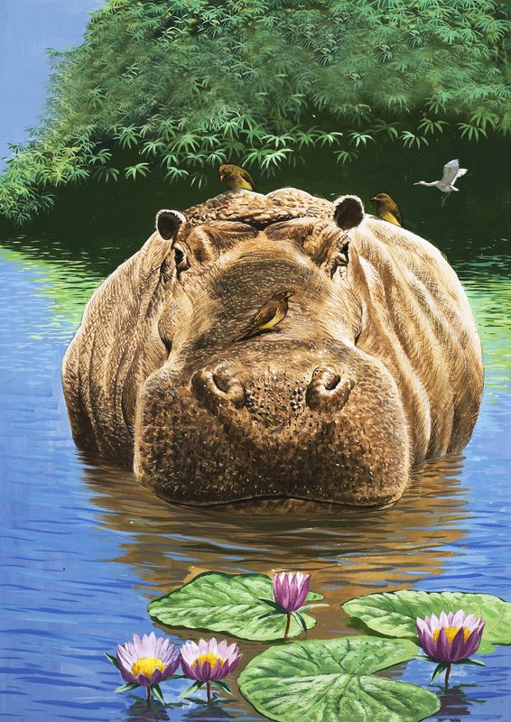 Un hipopótamo feliz, ilustración de "El país de las maravillas de la naturaleza". de English School