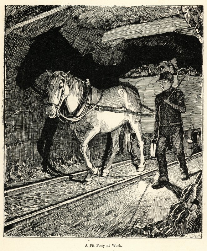 Un pony de mina trabajando (grabado) de English School