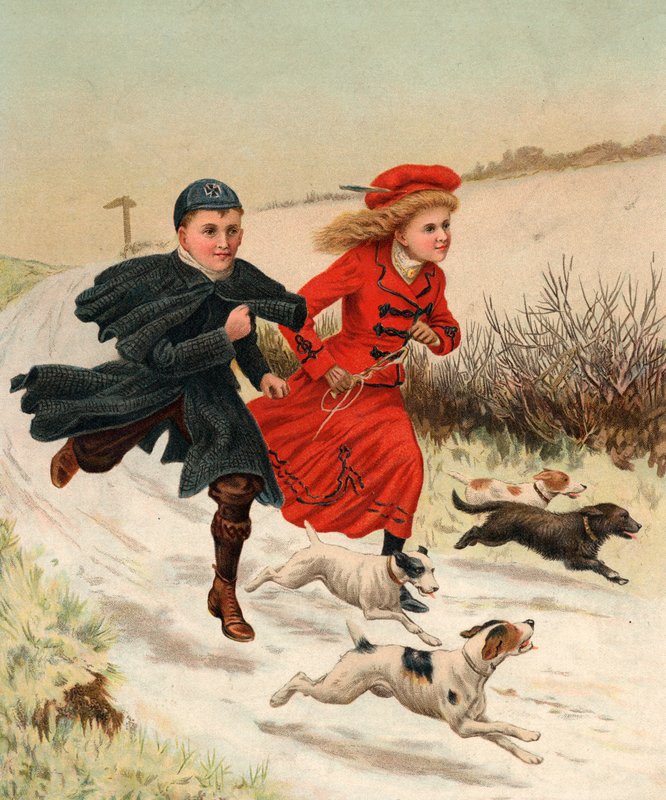Una carrera con los perros de English School