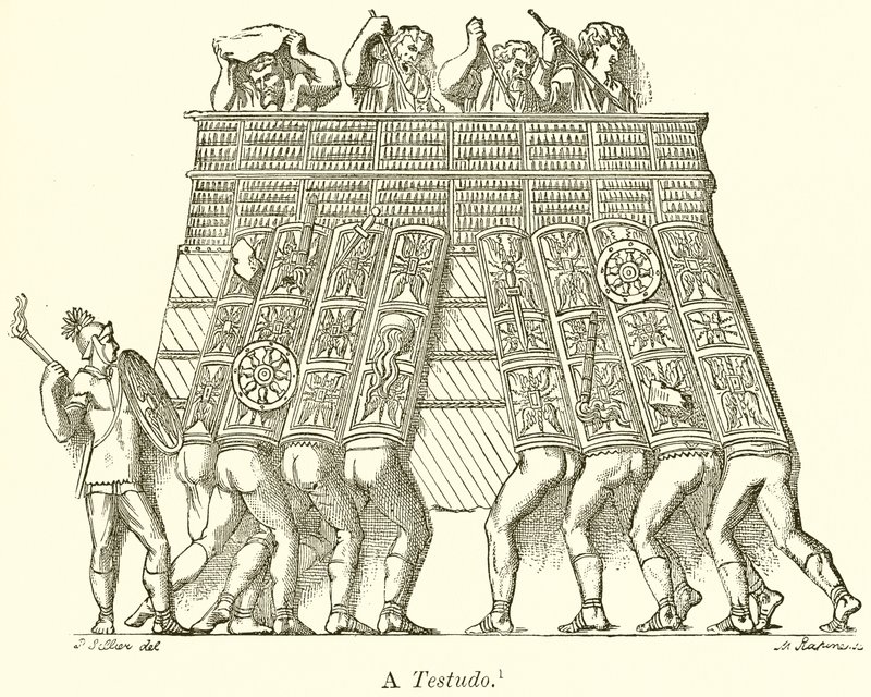 Una Testudo de English School