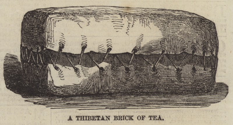 Un ladrillo de té tibetano de English School