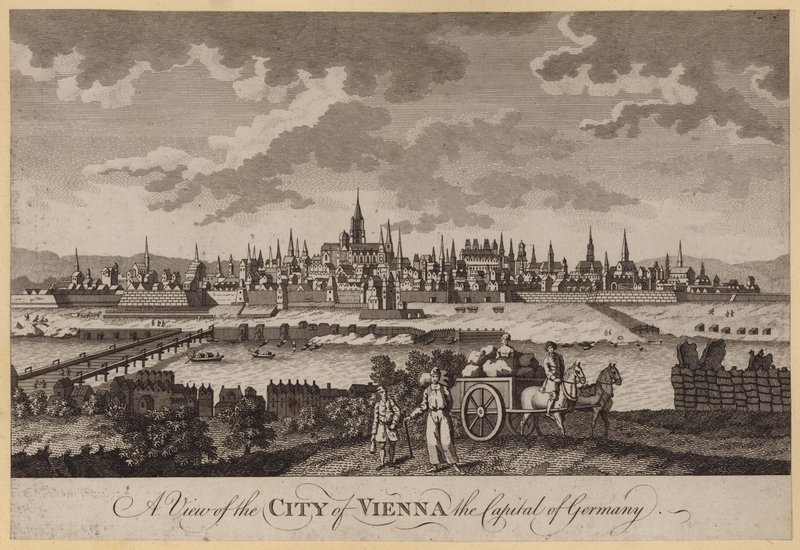 Vista de la ciudad de Viena, la capital de Alemania de English School