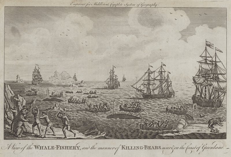 Vista de la pesca de ballenas y la manera de matar osos cerca y en la costa de Groenlandia de English School