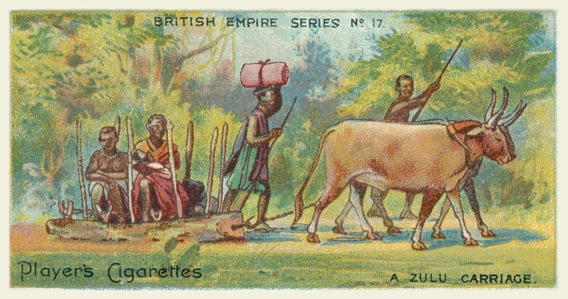 Un carruaje zulú de English School