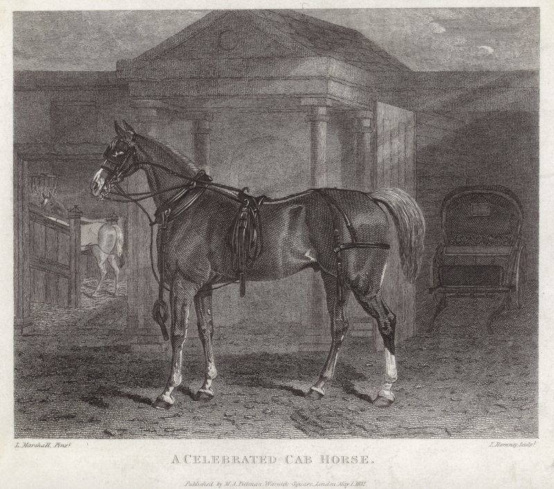 Un caballo de cabina célebre de English School