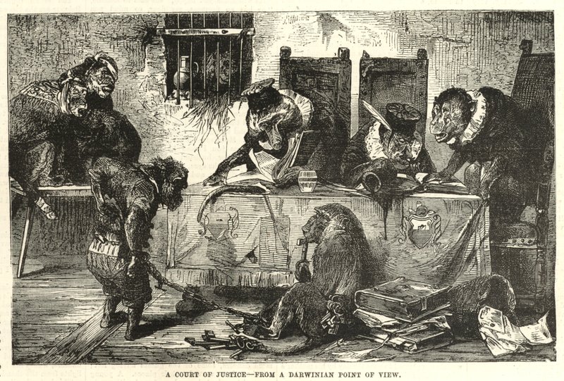 Un tribunal de justicia desde el punto de vista darwiniano de English School