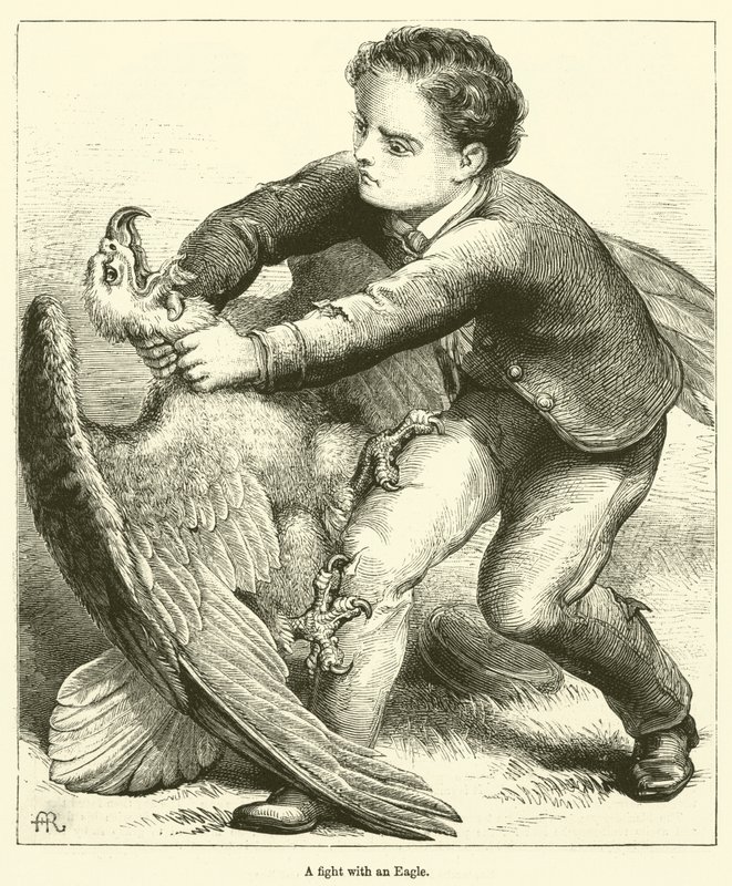 Una pelea con un águila de English School