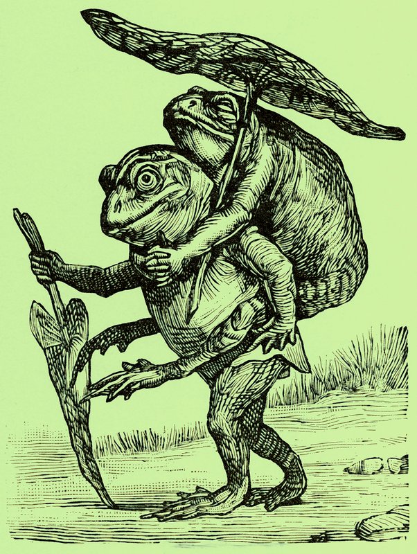 Un esposo amable, ilustración de Coles Funny Picture Book de English School
