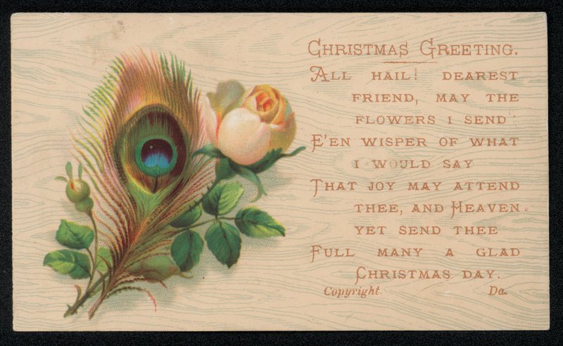 Una pluma de pavo real y una rosa, tarjeta de felicitación de Navidad de English School