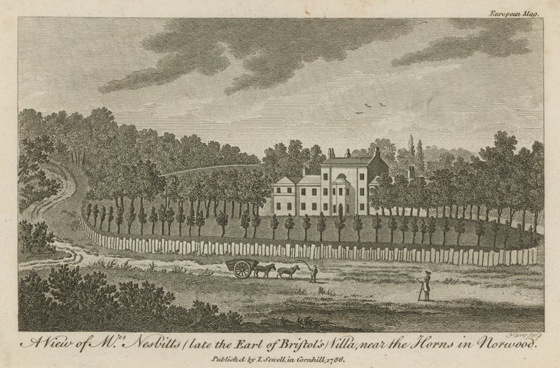 Vista de la villa del Sr. Nesbitt (anteriormente del Conde de Bristol), cerca de los Horns en Norwood de English School