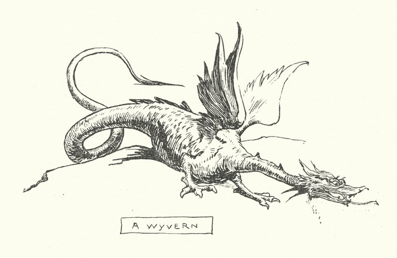 Un wyvern (grabado) de English School