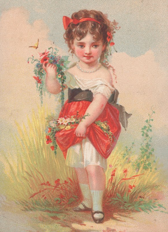Una niña recogiendo flores silvestres de English School