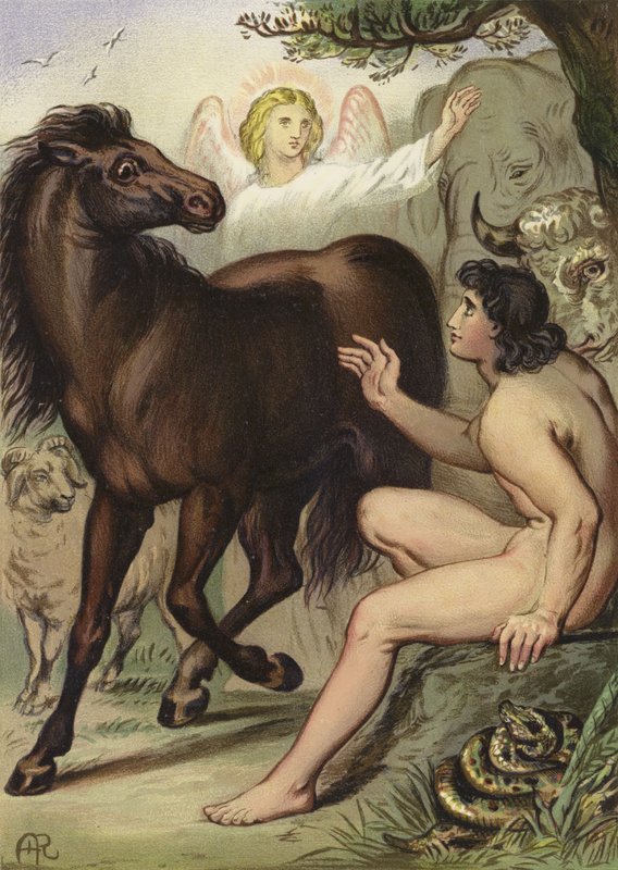 Adán nombrando a los animales de English School