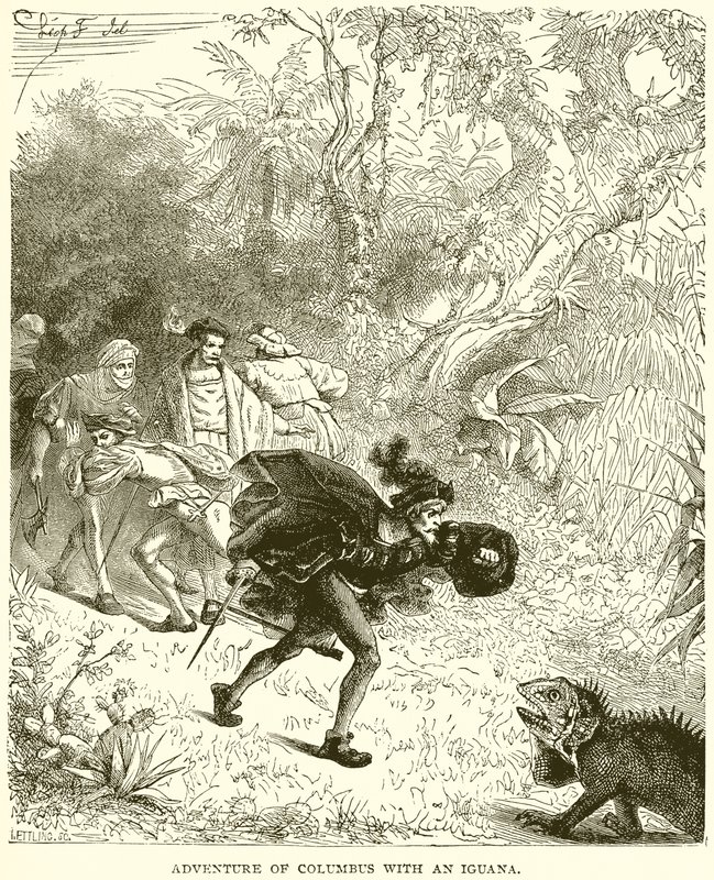 Aventura de Colón con una iguana de English School