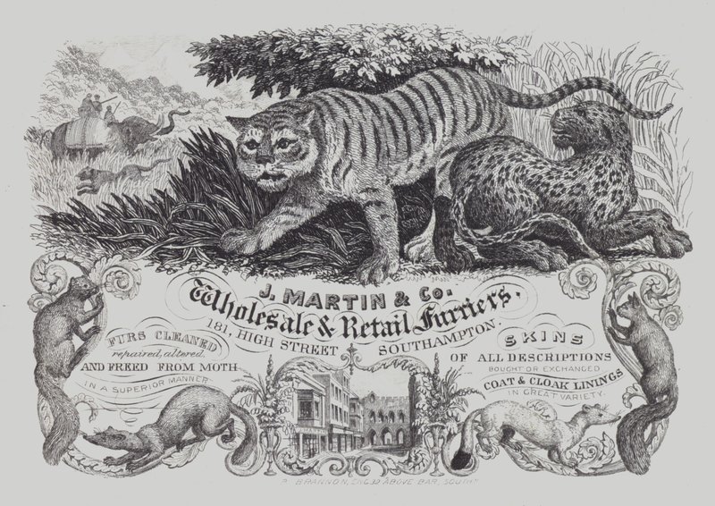 Anuncio de J Martin & Co, peleteros mayoristas y minoristas, Southampton, Hampshire de English School