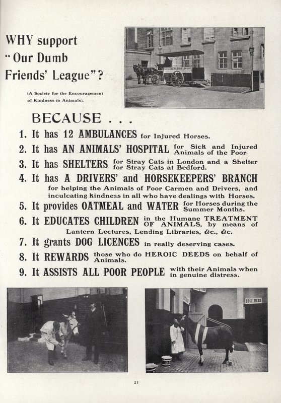 Anuncio de Our Dumb Friends League de English School