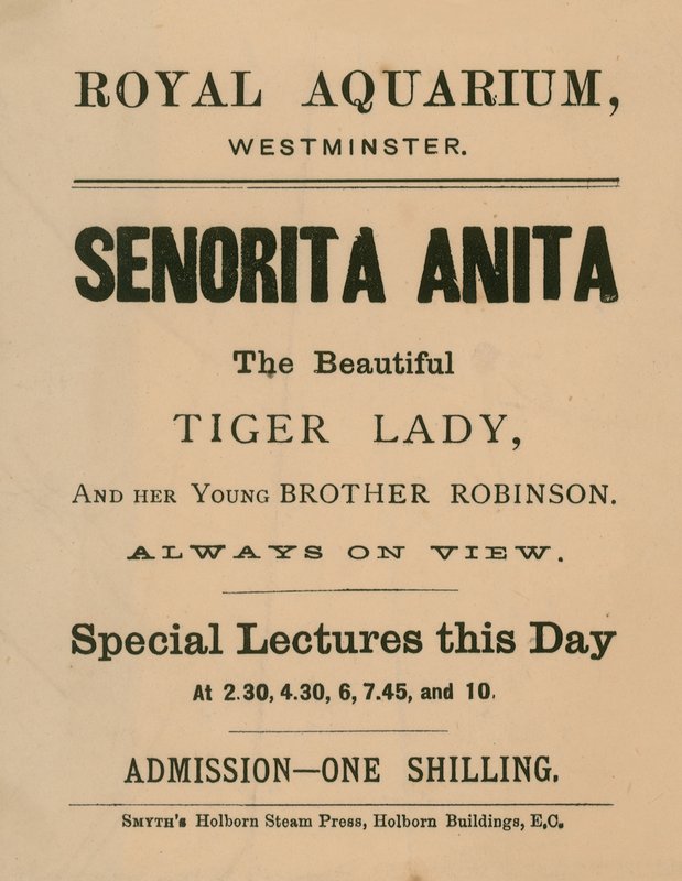 Anuncio de Señorita Anita de English School