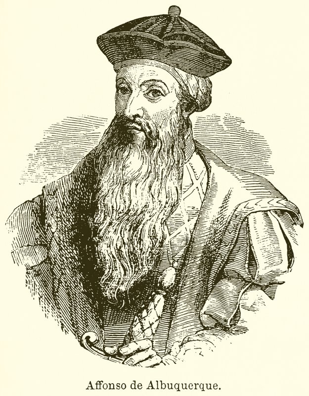 Afonso de Albuquerque de English School