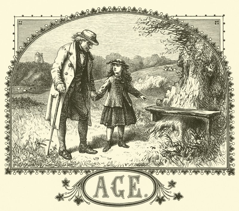 Vejez de English School