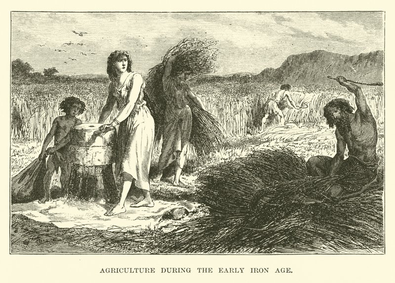 Agricultura durante la Edad del Hierro temprana de English School