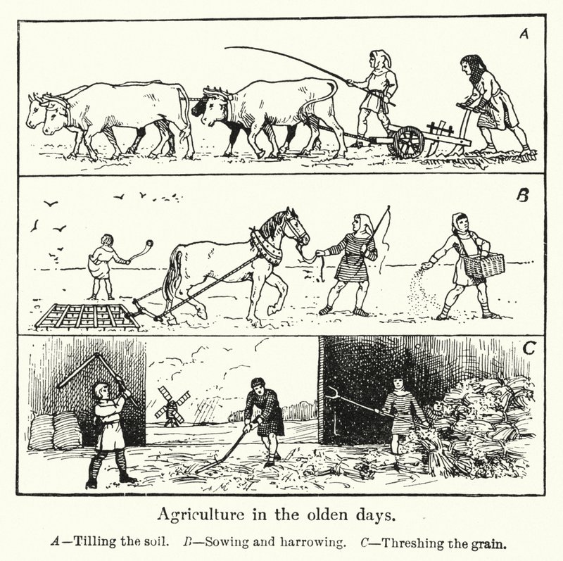 Agricultura en los tiempos antiguos de English School