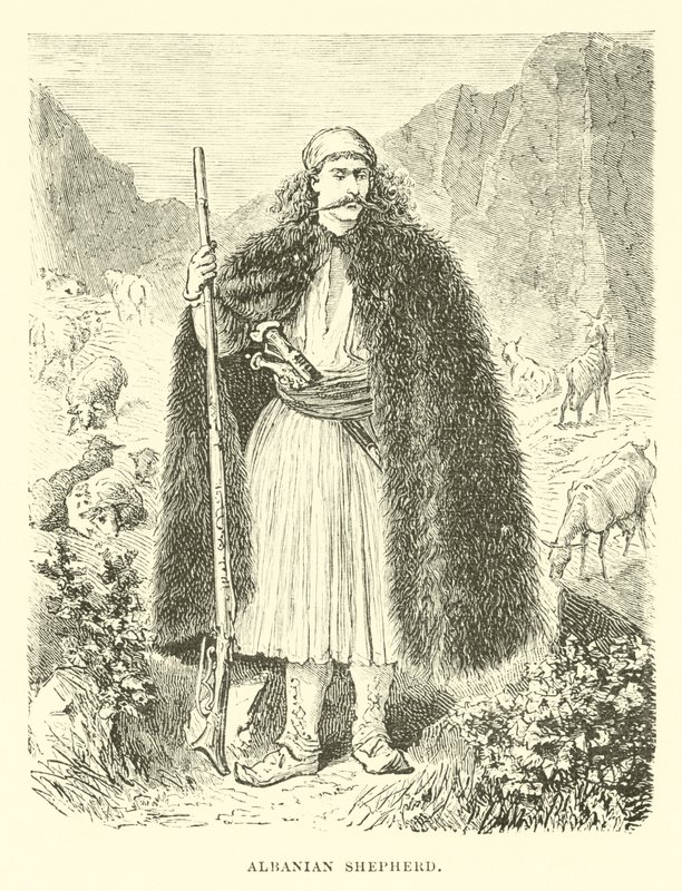 Pastor albanés de English School
