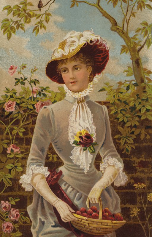 Todo en una feria de jardinería (cromolito) de English School