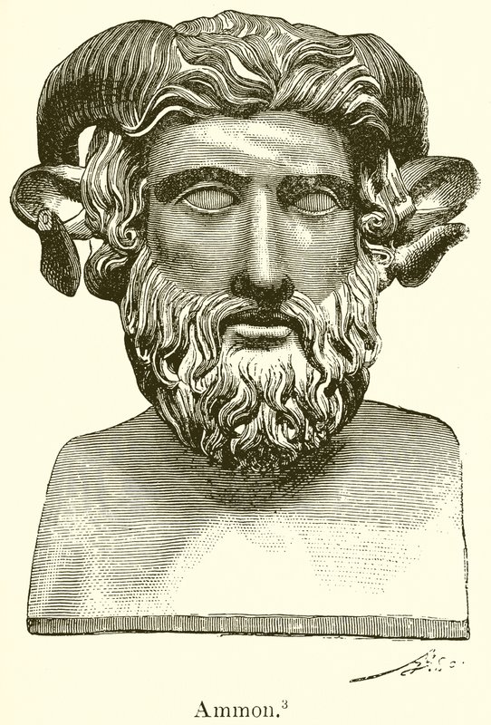 Amón de English School