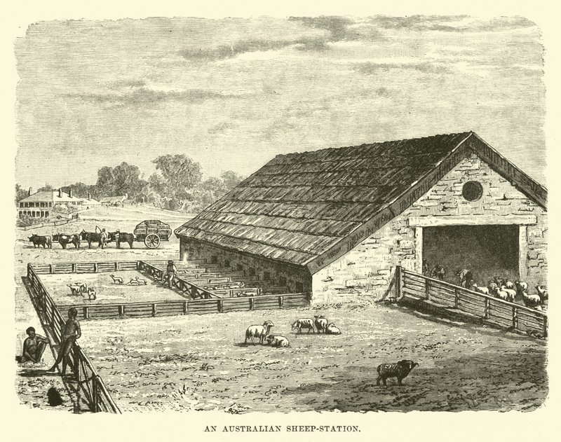 Una estación de ovejas australiana de English School